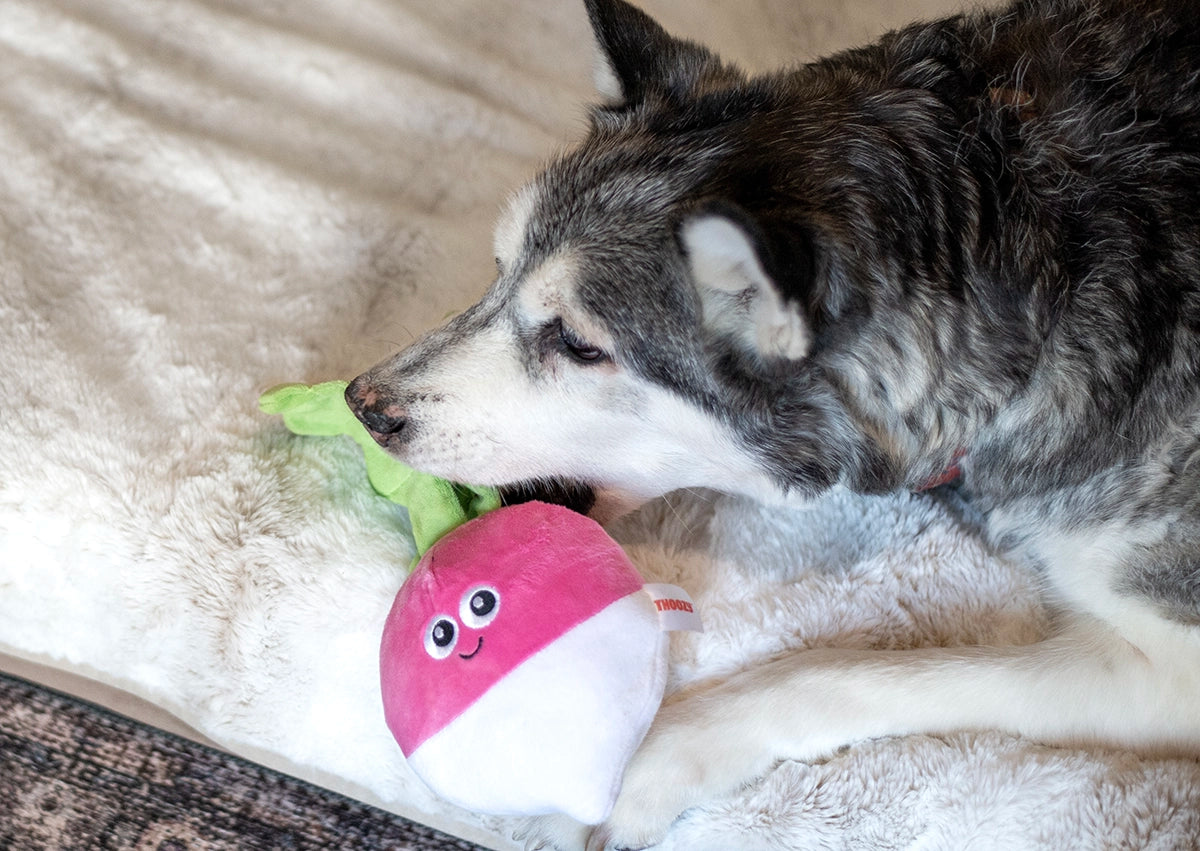 ThoozyPet Turnip Plush Dog Toy 12"
