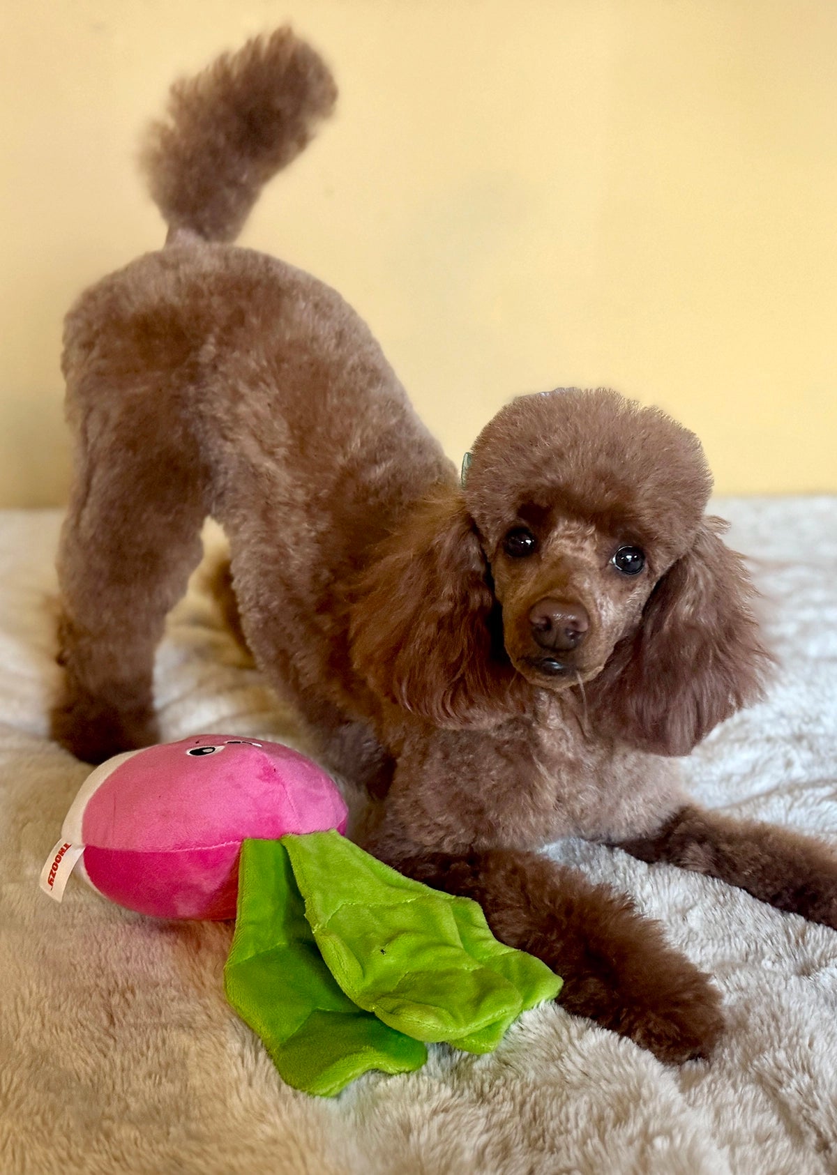 ThoozyPet Turnip Plush Dog Toy 12"