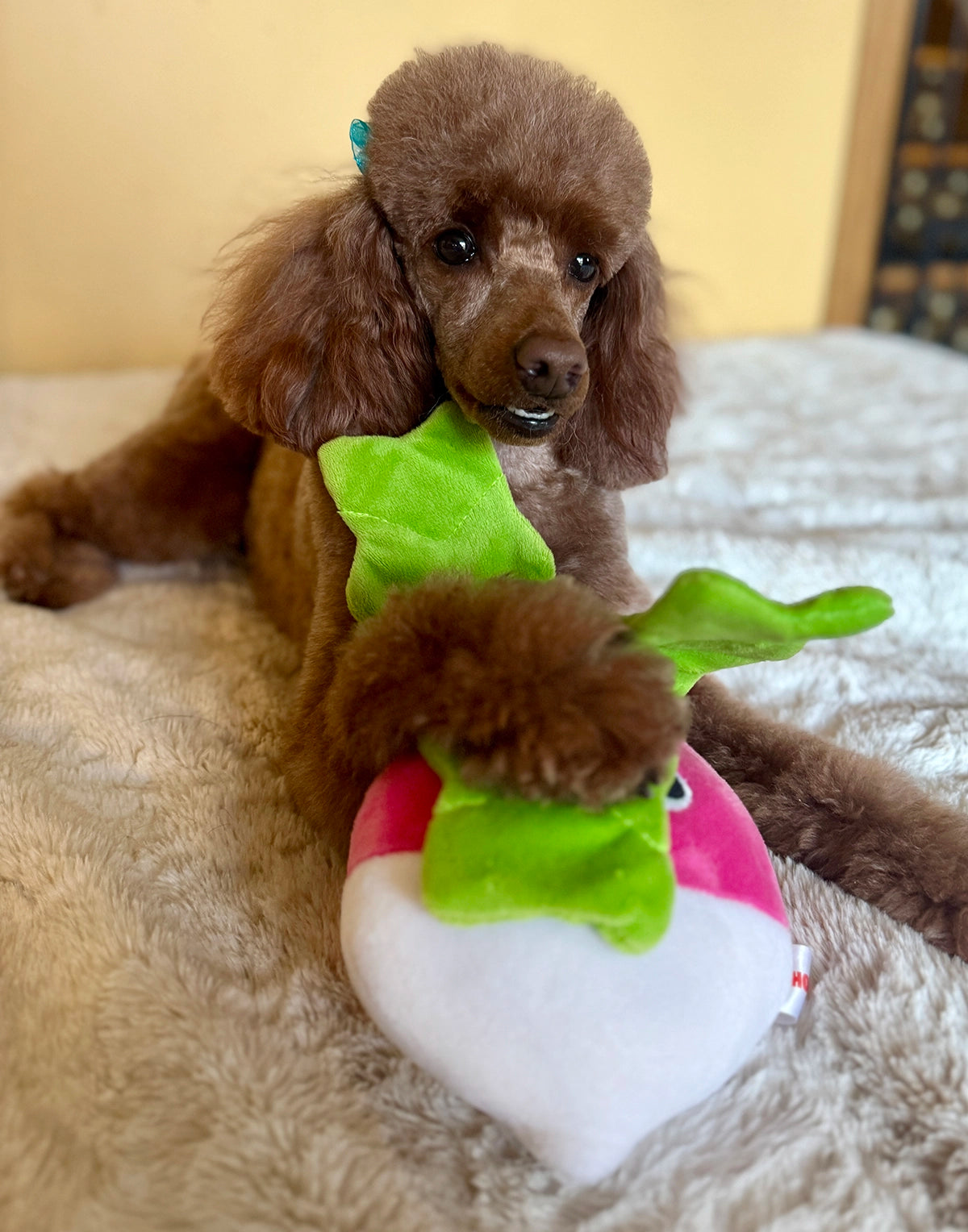 ThoozyPet Turnip Plush Dog Toy 12"