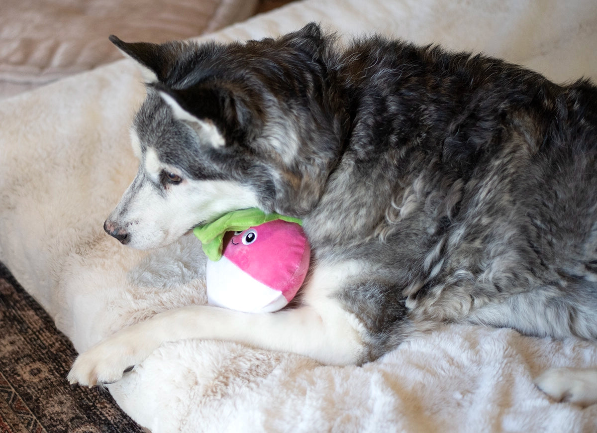 ThoozyPet Turnip Plush Dog Toy 12"