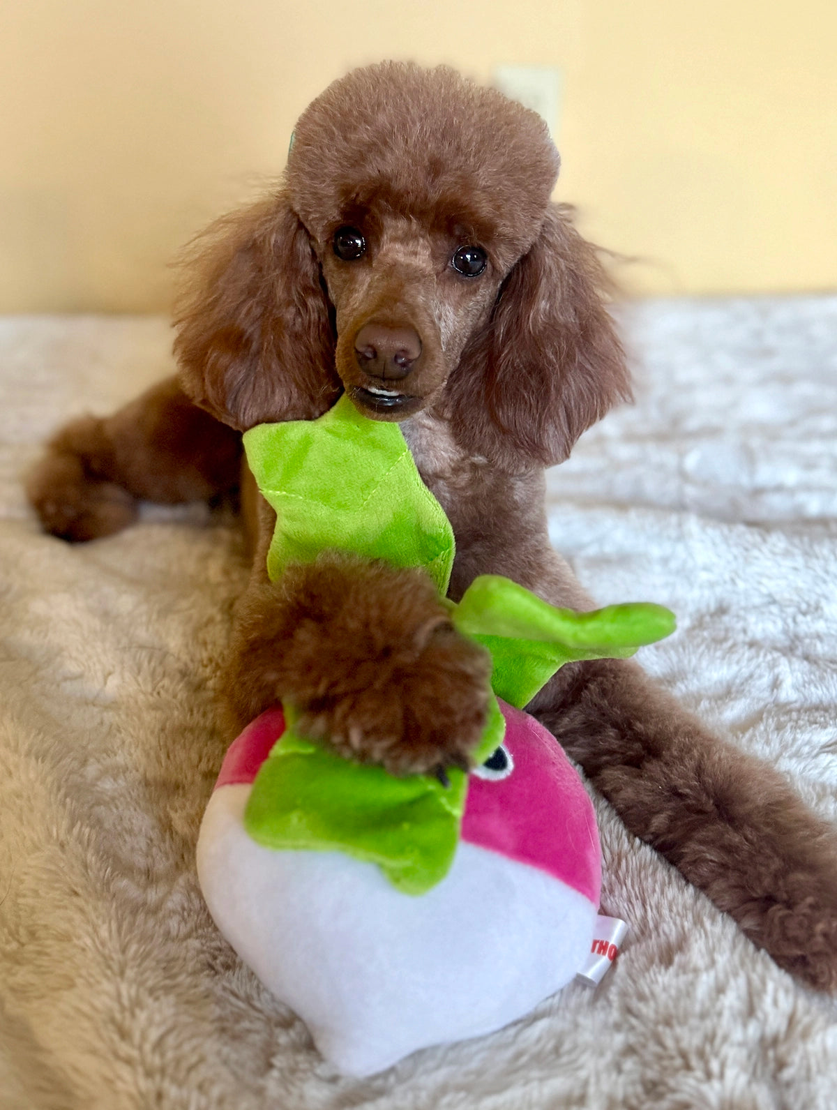 ThoozyPet Turnip Plush Dog Toy 12"