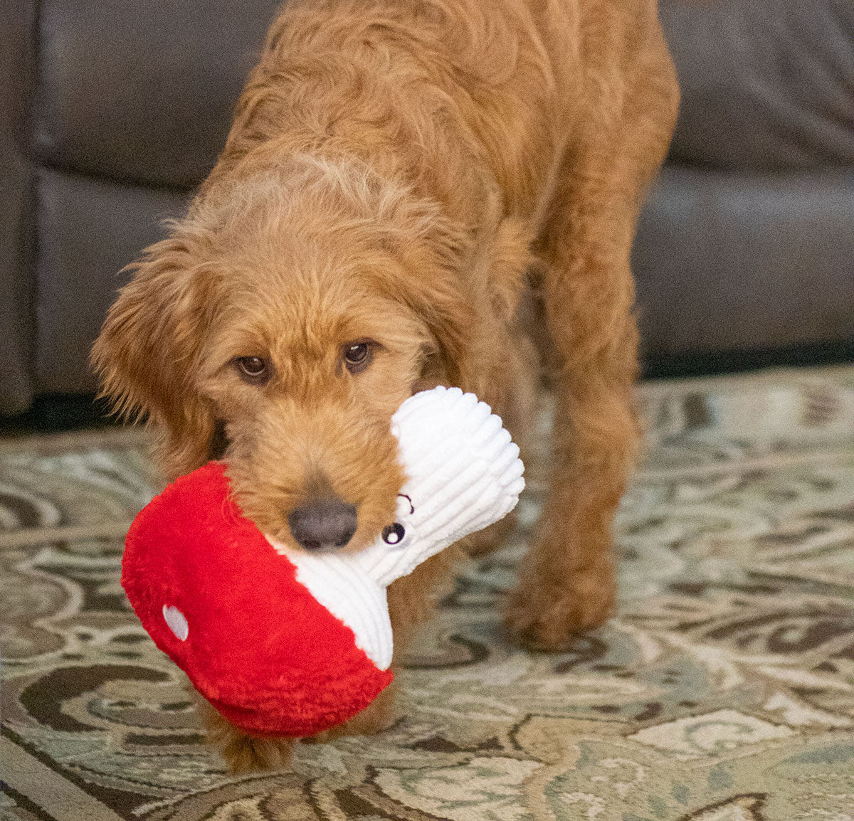 ThoozyPet Mushroom Plush Dog Toy 9"