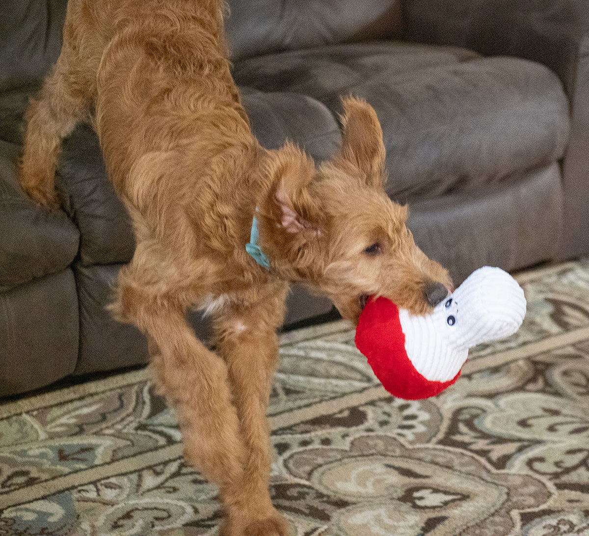 ThoozyPet Mushroom Plush Dog Toy 9"