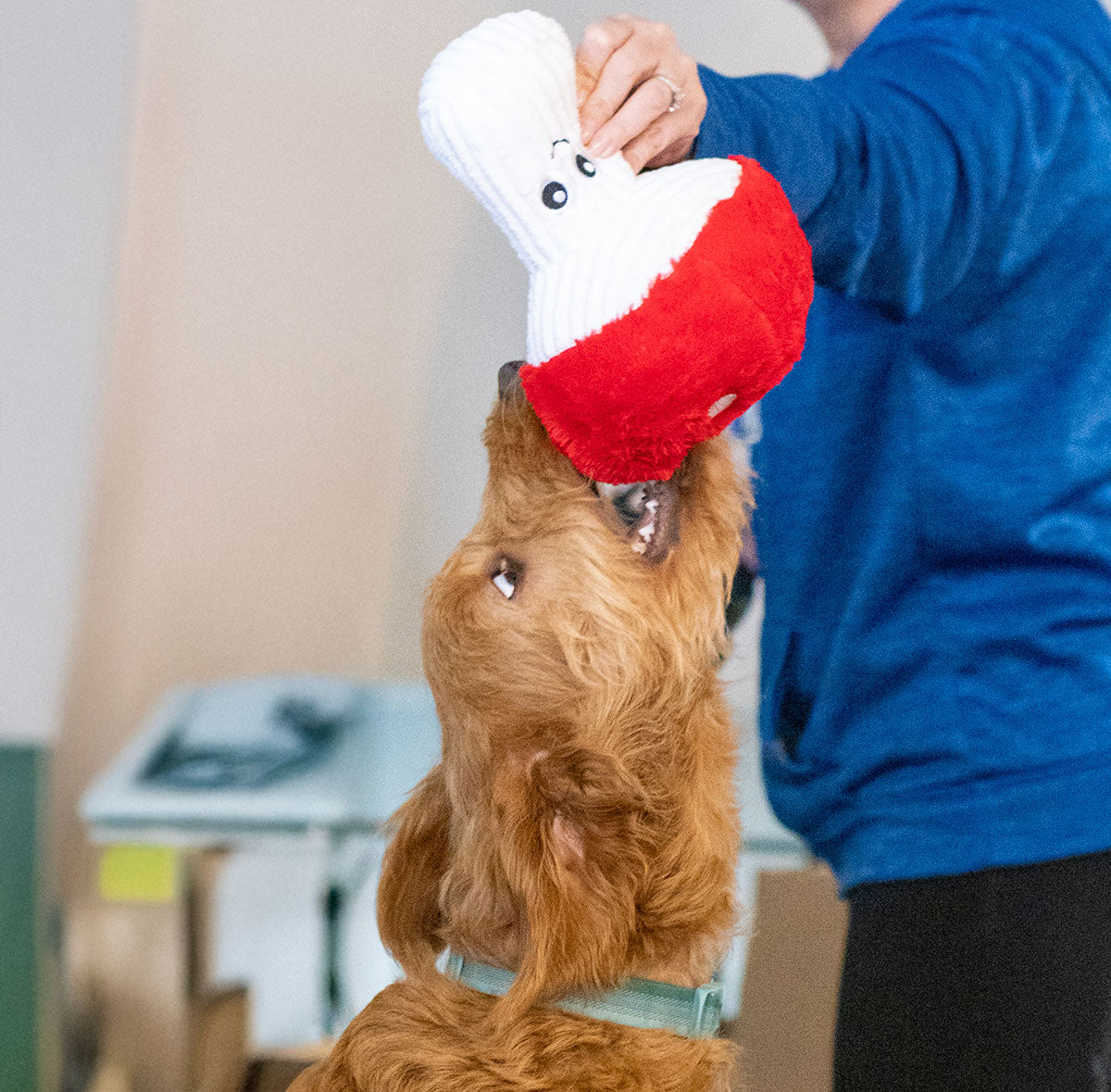 ThoozyPet Mushroom Plush Dog Toy 9"