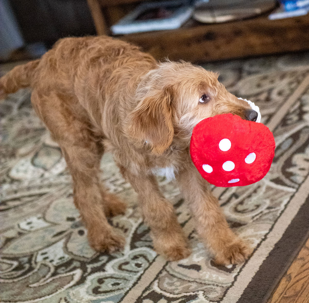 ThoozyPet Mushroom Plush Dog Toy 9"