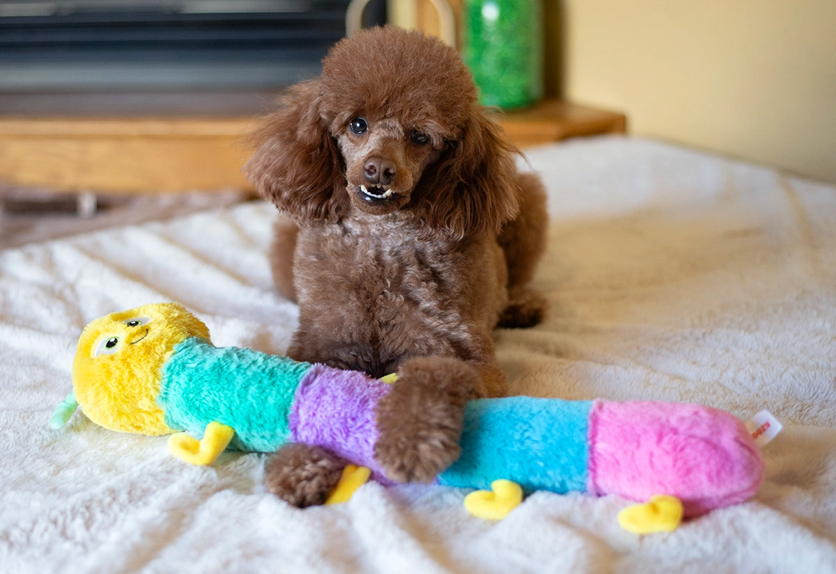 ThoozyPet Multi-Squeaker Caterpillar Plush Dog Toy 21"