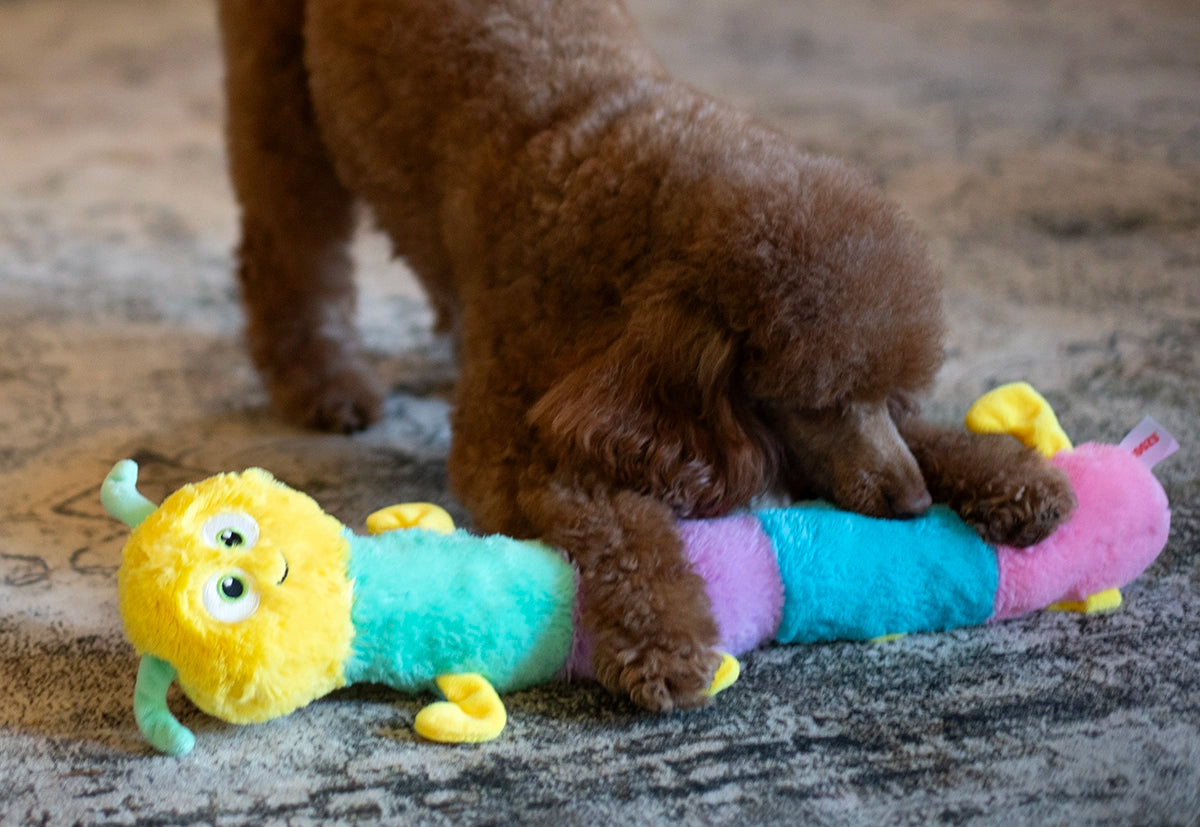 ThoozyPet Multi-Squeaker Caterpillar Plush Dog Toy 21"