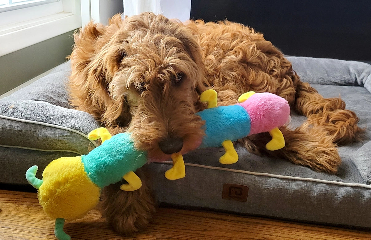 ThoozyPet Multi-Squeaker Caterpillar Plush Dog Toy 21"