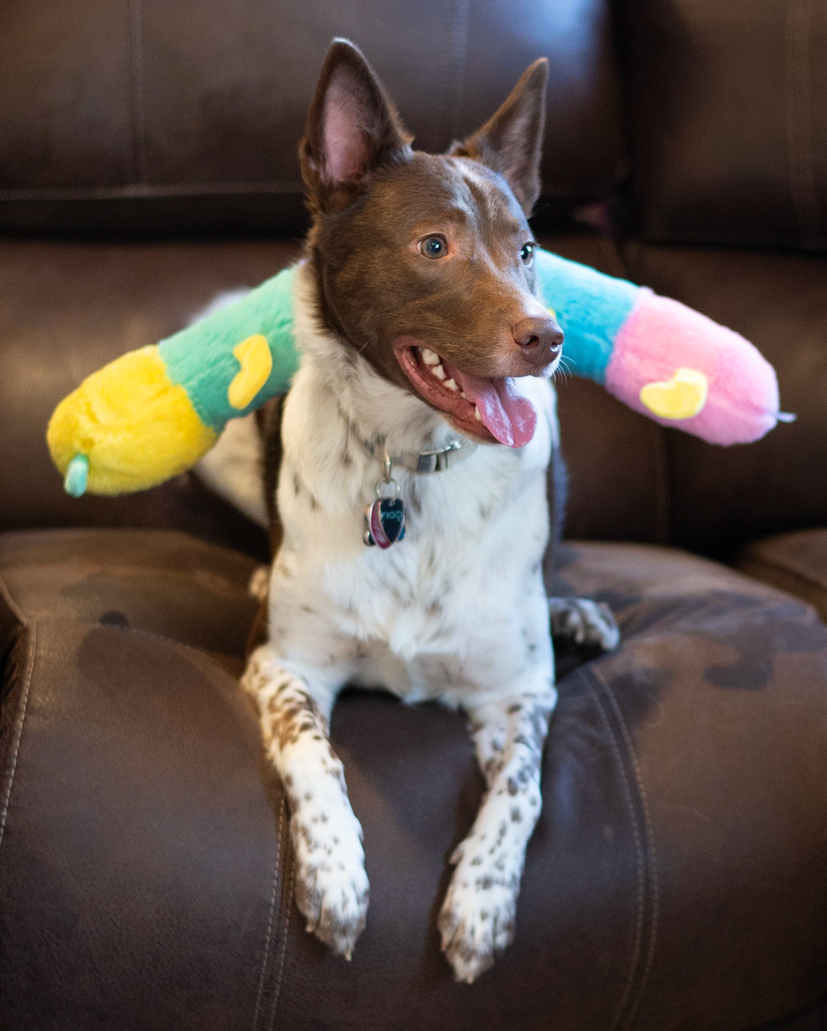 ThoozyPet Multi-Squeaker Caterpillar Plush Dog Toy 21"