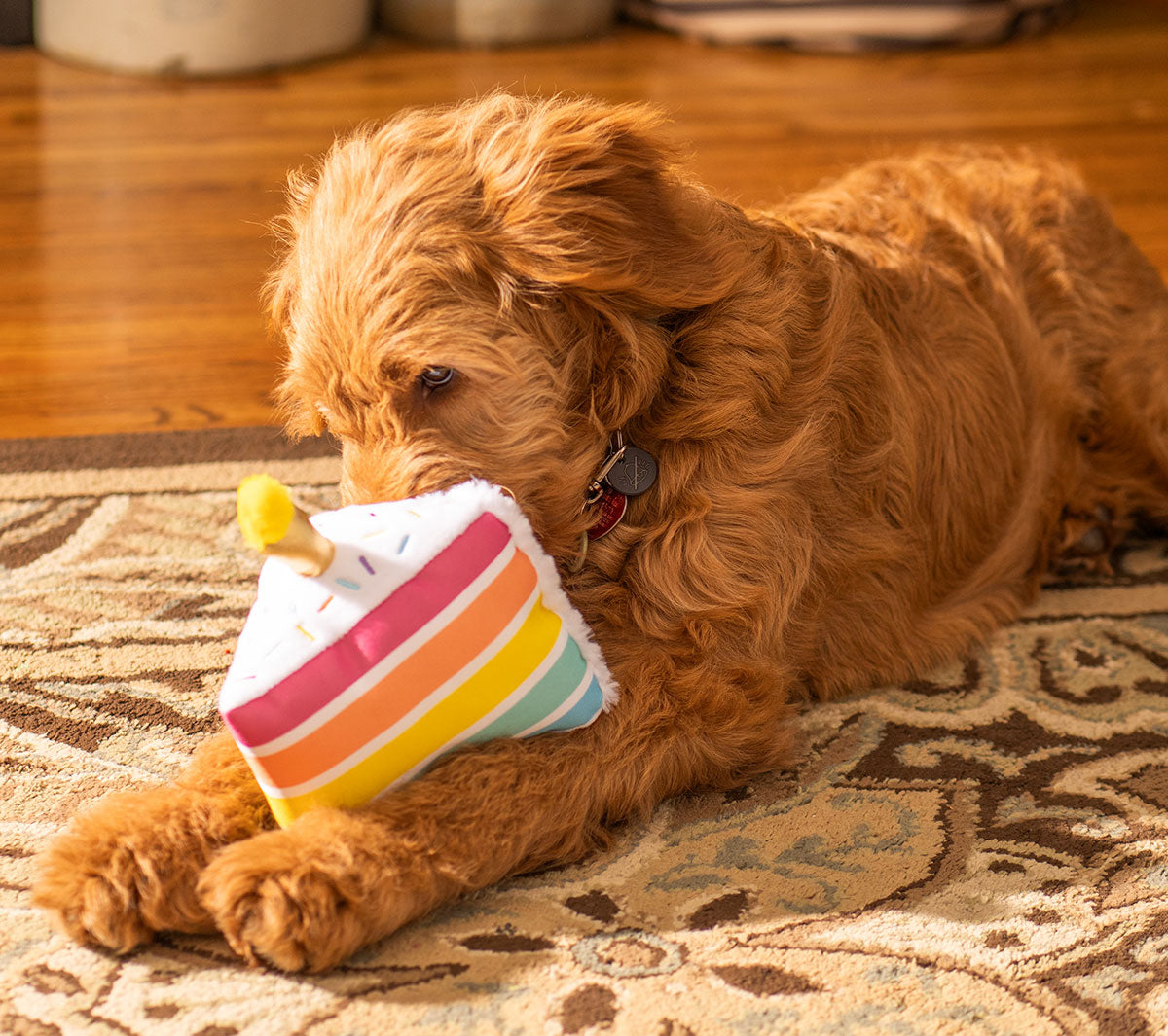 ThoozyPet Birthday 5-Layer Cake Plush Dog Toy 8"