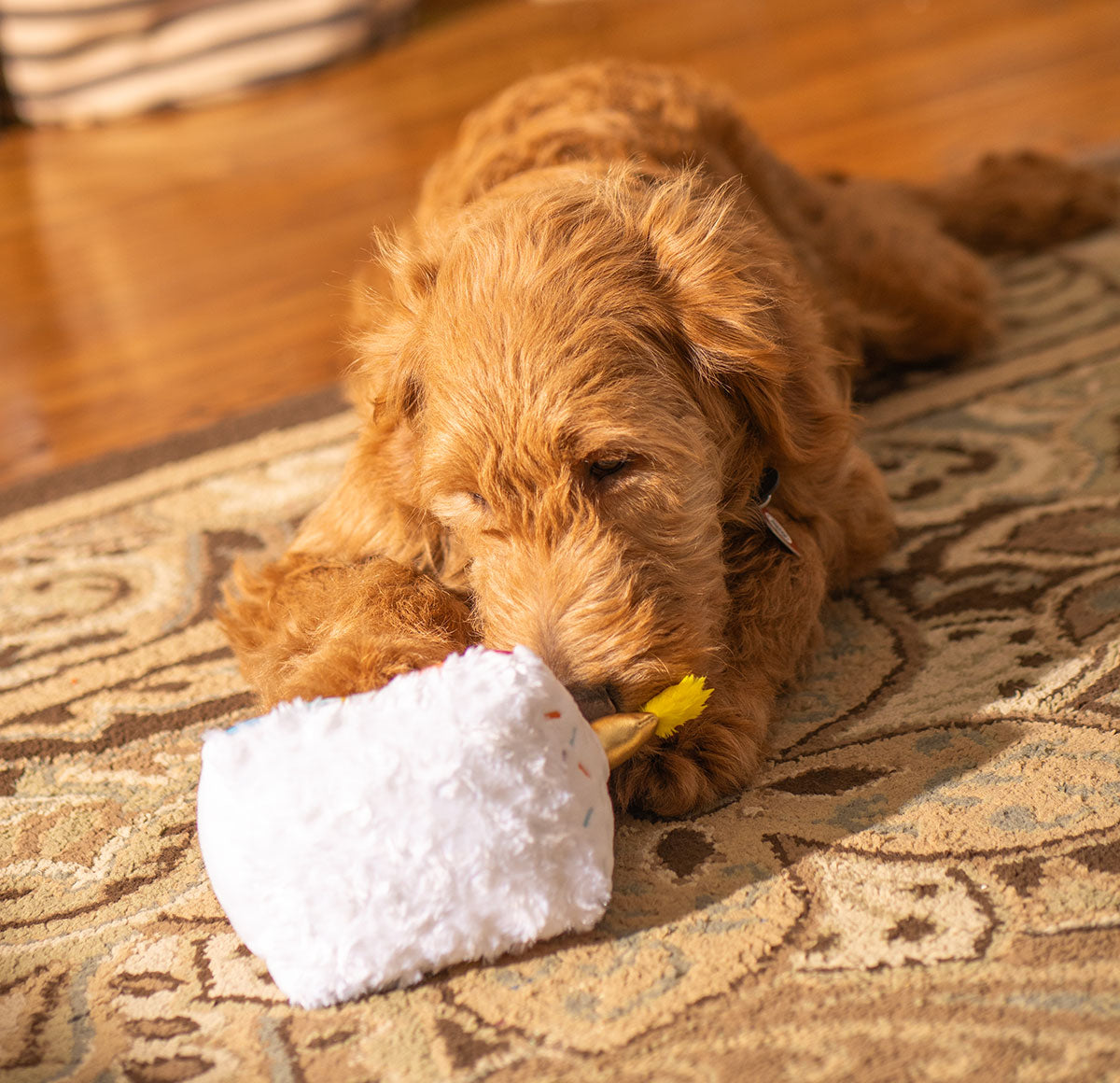 ThoozyPet Birthday 5-Layer Cake Plush Dog Toy 8"