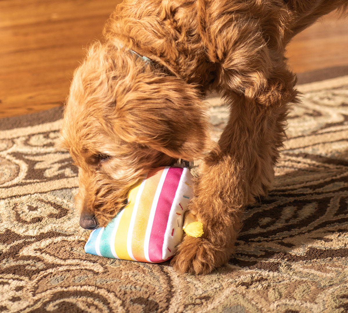 ThoozyPet Birthday 5-Layer Cake Plush Dog Toy 8"