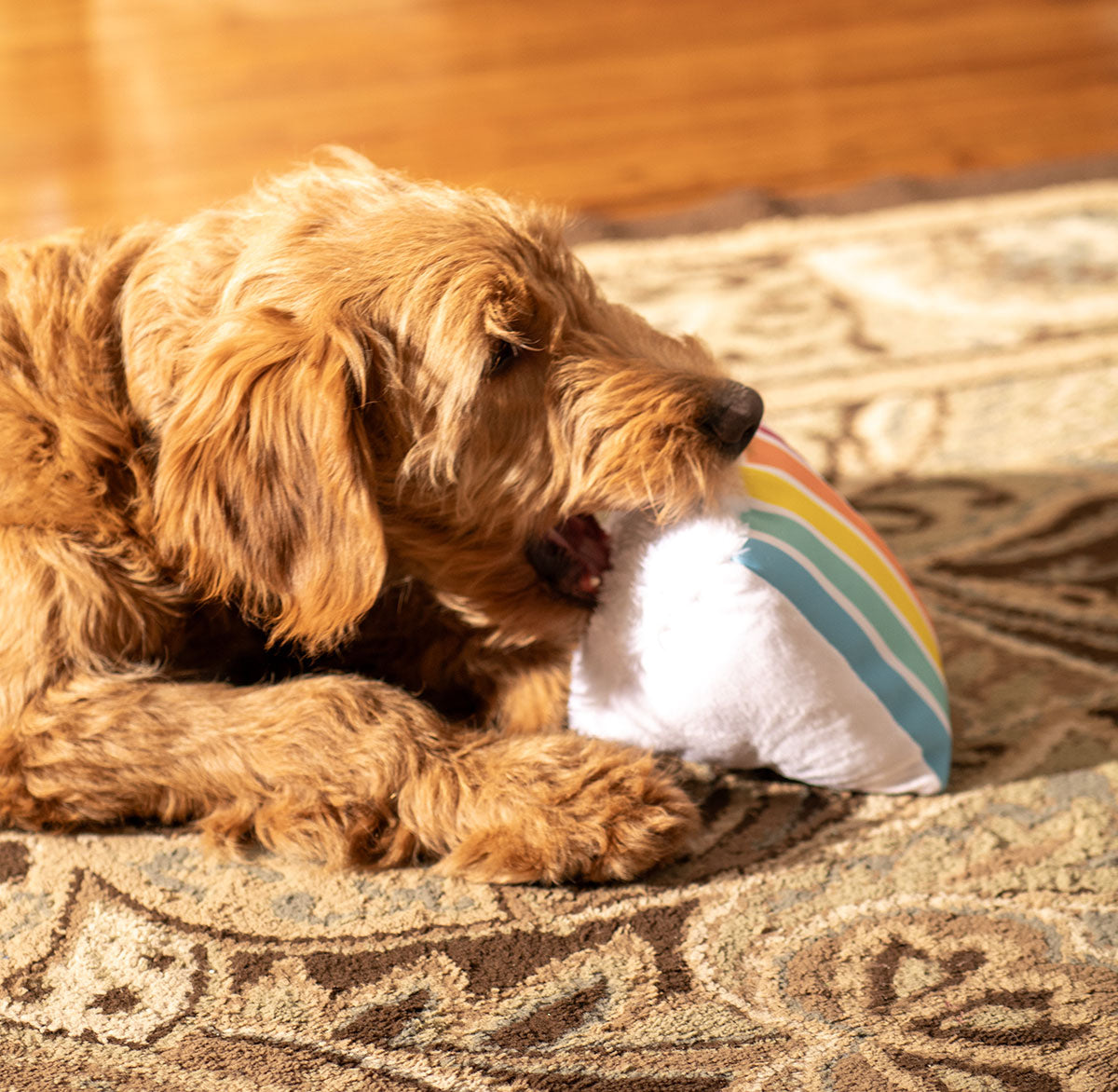 ThoozyPet Birthday 5-Layer Cake Plush Dog Toy 8"