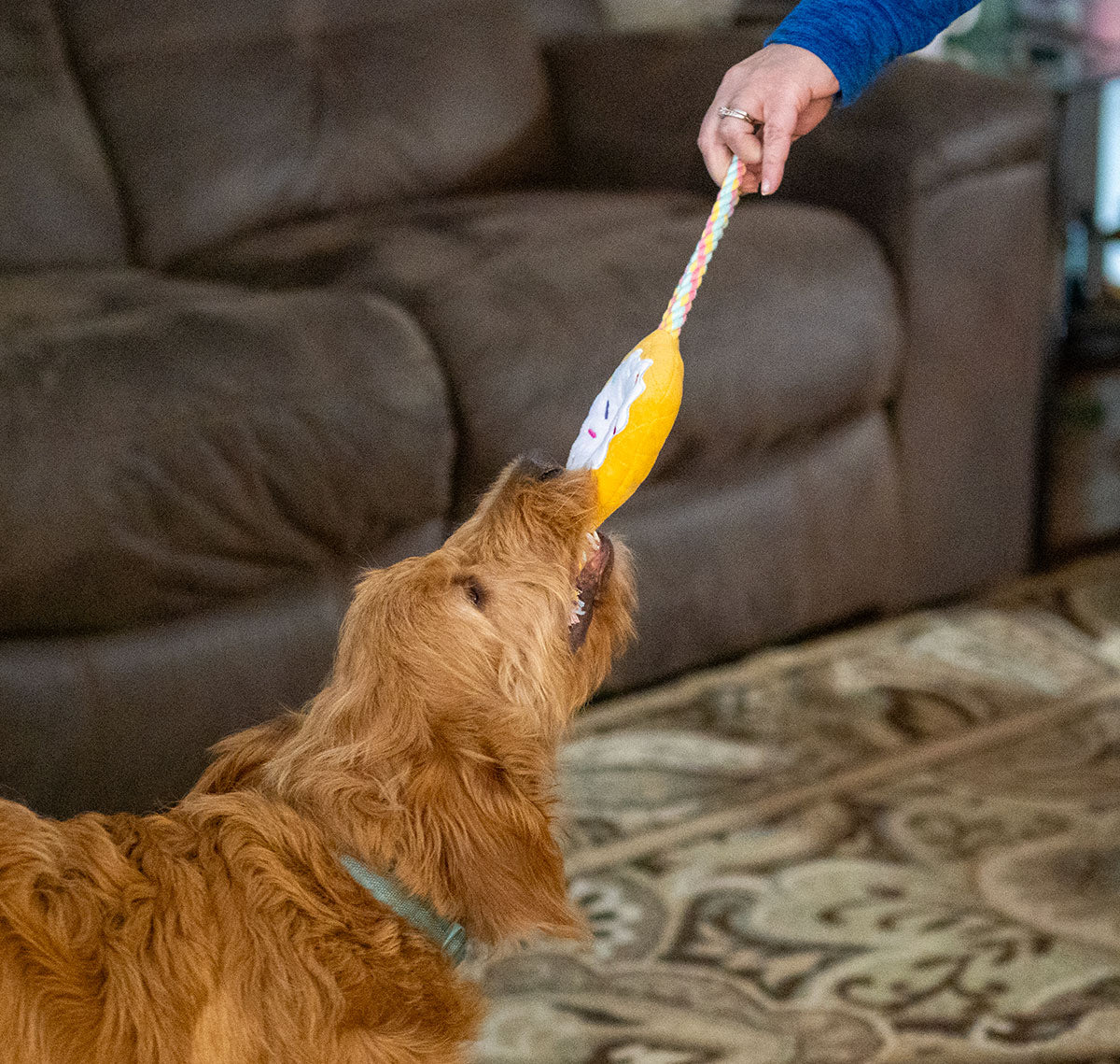 ThoozyPet Birthday Donut Plush Dog Toy with Rope 12"