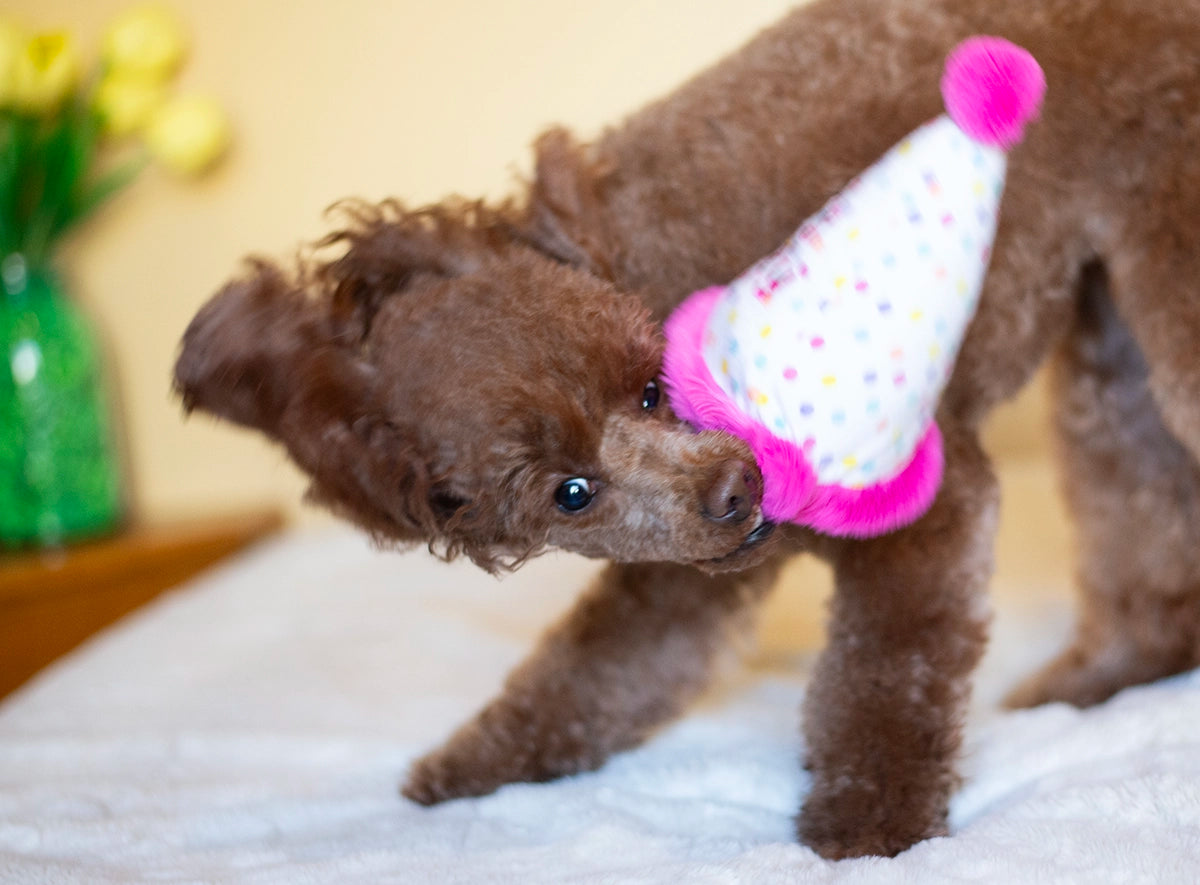 ThoozyPet Birthday Hat Pink Plush Dog Toy 7"
