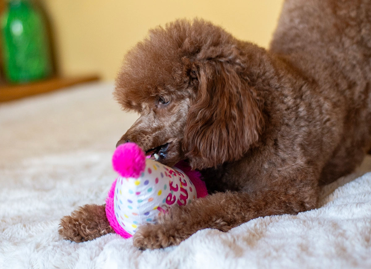ThoozyPet Birthday Hat Pink Plush Dog Toy 7"