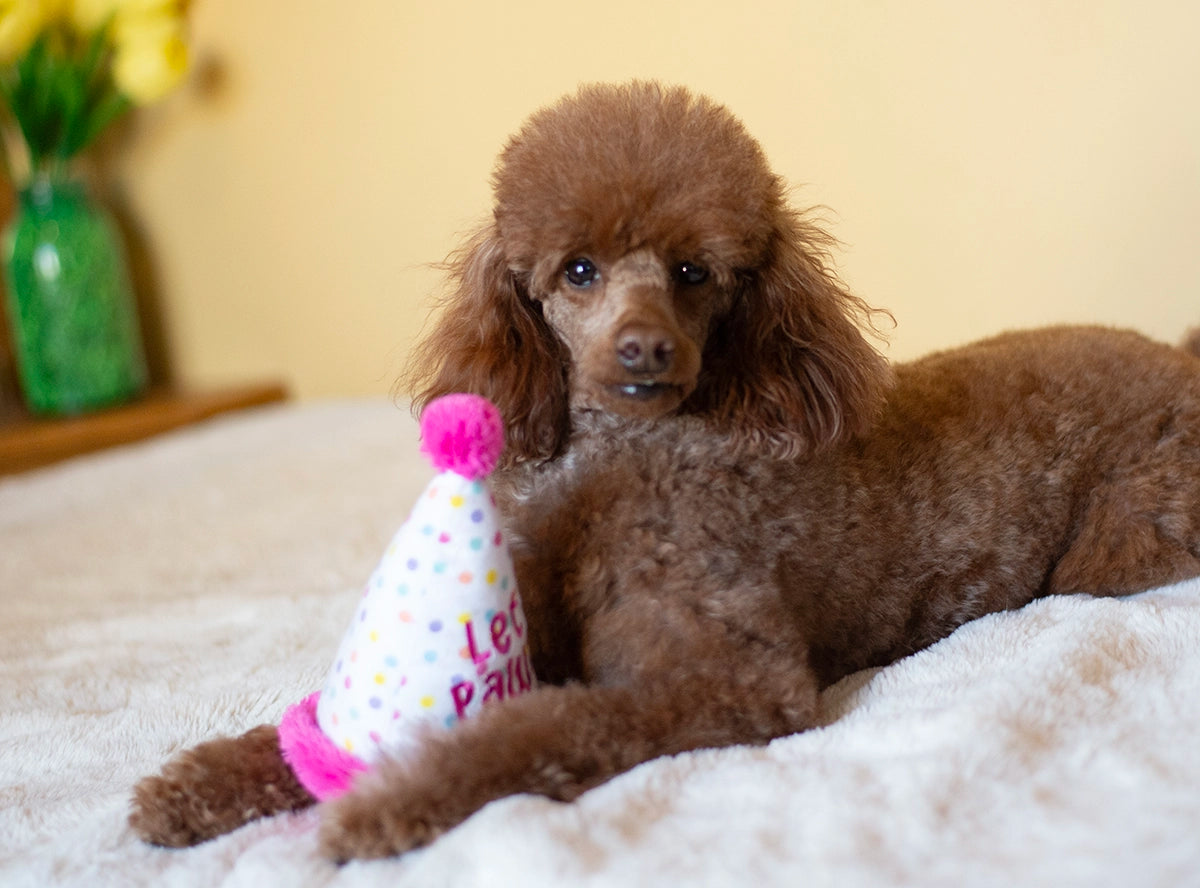 ThoozyPet Birthday Hat Pink Plush Dog Toy 7"