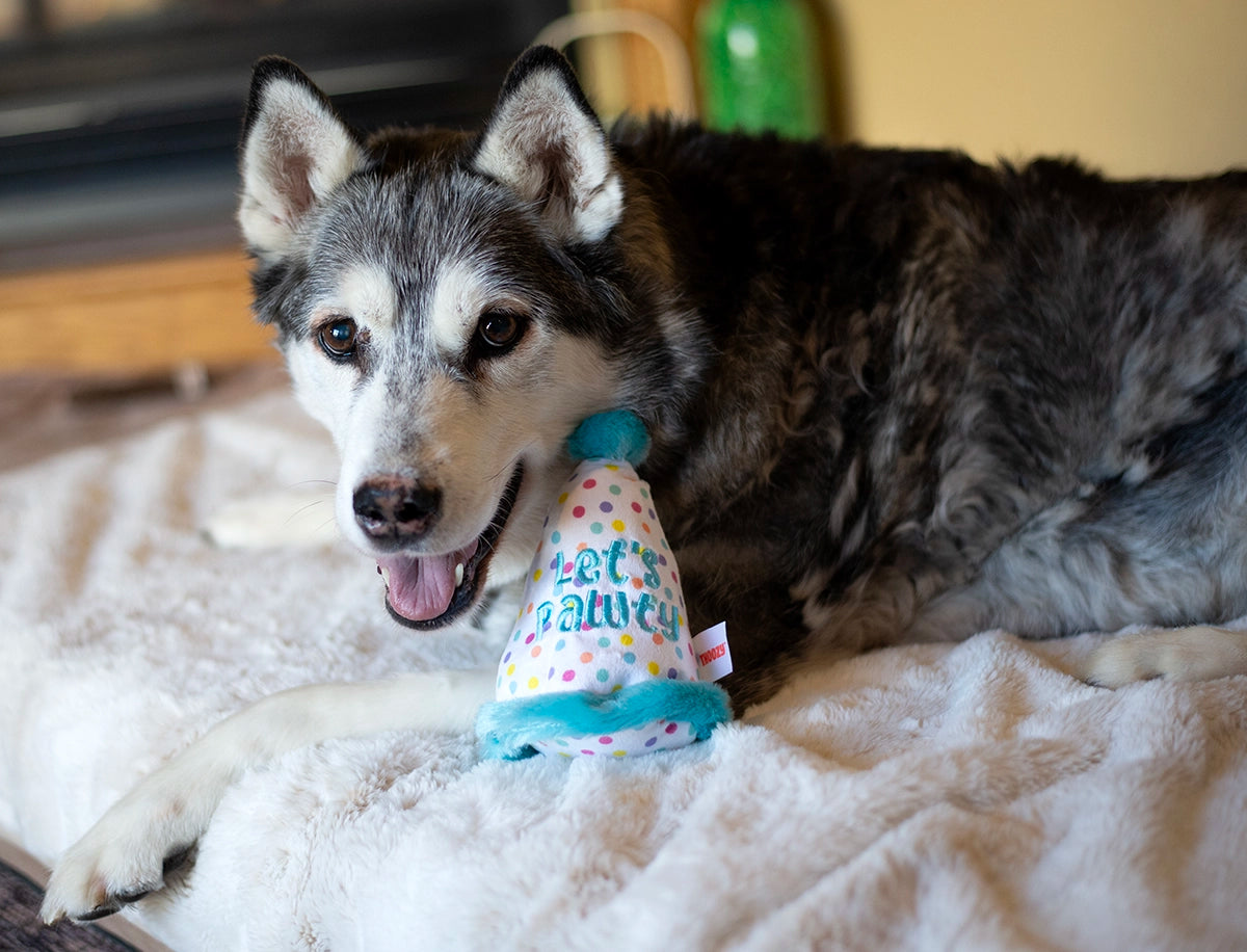 ThoozyPet Birthday Hat Blue Plush Dog Toy 7"