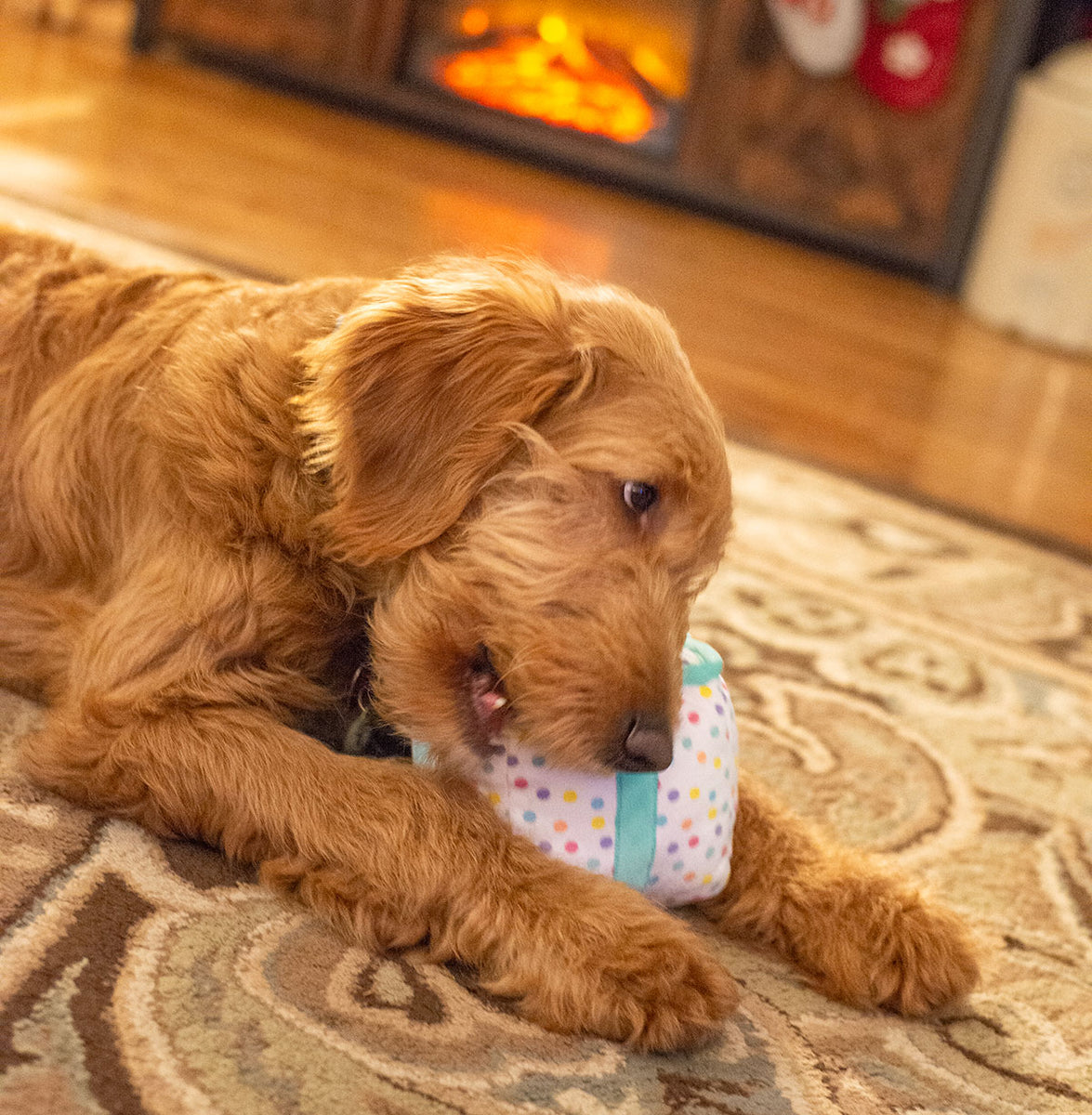 ThoozyPet Birthday Gift Plush Dog Toy 6"