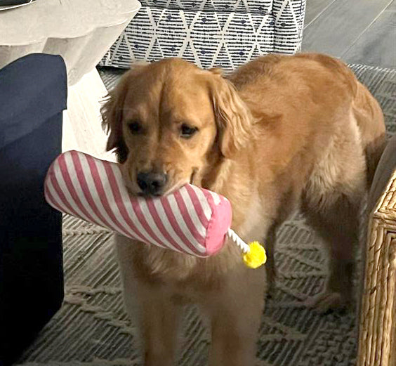 ThoozyPet Birthday Candle Pink Plush Dog Toy with Rope 16"