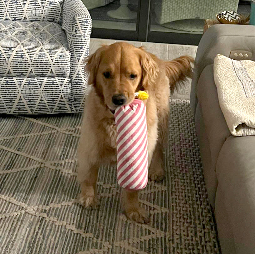 ThoozyPet Birthday Candle Pink Plush Dog Toy with Rope 16"