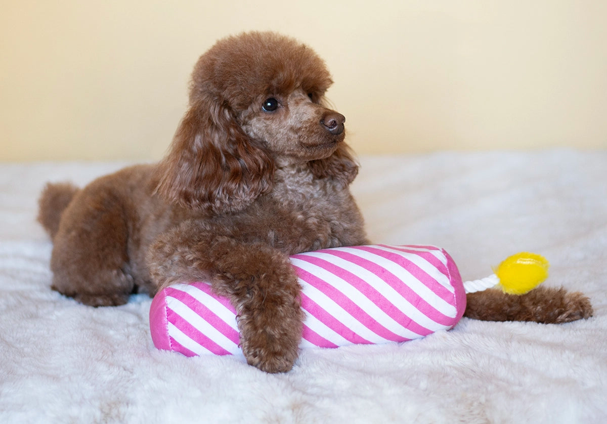 ThoozyPet Birthday Candle Pink Plush Dog Toy with Rope 16"