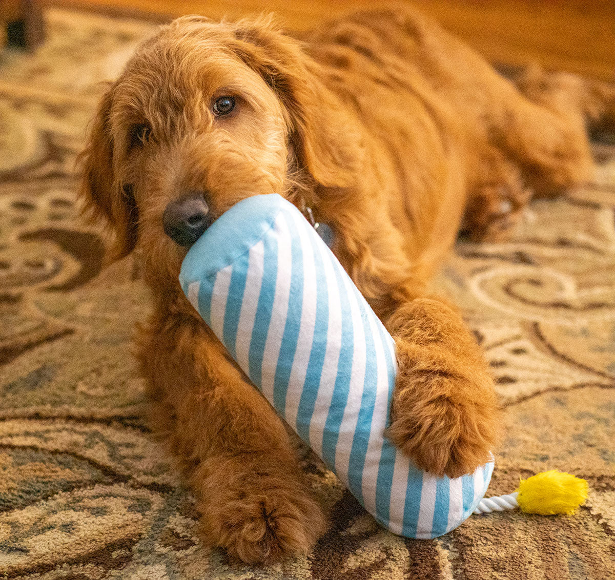ThoozyPet Birthday Candle Blue Plush Dog Toy with Rope 16"