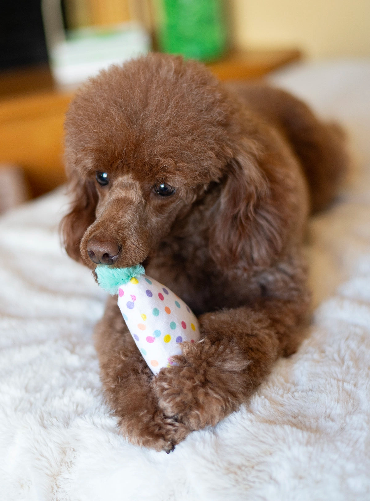 ThoozyPet Birthday 3pk Small Plush Dog Toys 5.5"