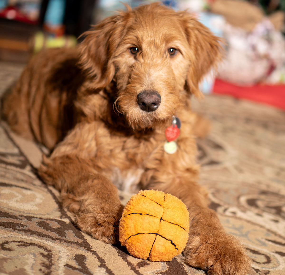 ThoozyPet Basketball Plush Dog Toy 4"