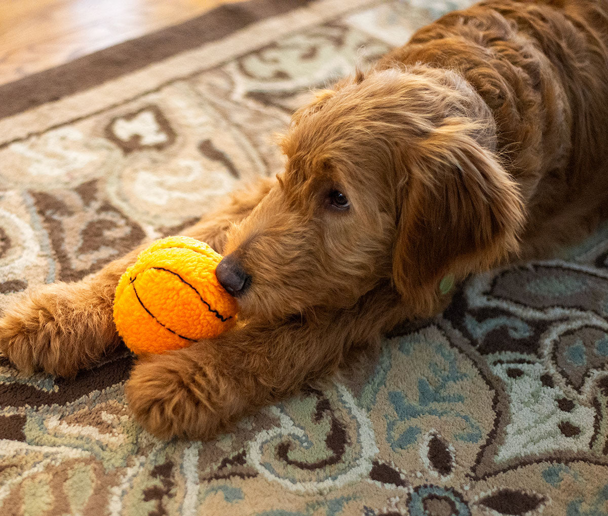 ThoozyPet Basketball Plush Dog Toy 4"