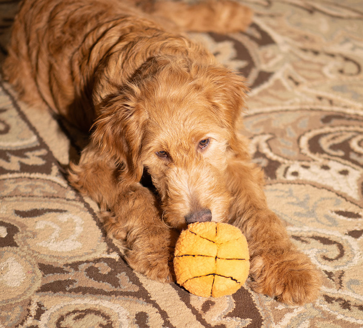 ThoozyPet Basketball Plush Dog Toy 4"