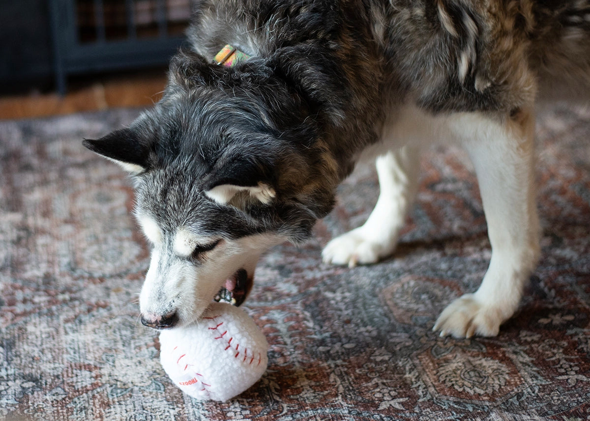 ThoozyPet Baseball Plush Dog Toy 4"