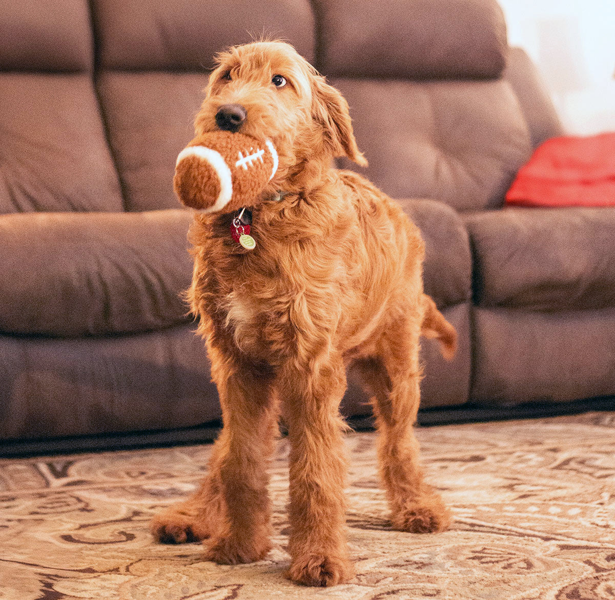 ThoozyPet Football Plush Dog Toy 6.5"