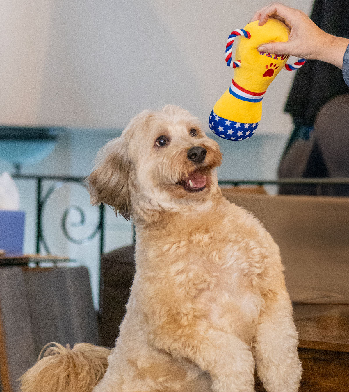 ThoozyPet #1 PUP Trophy Plush Dog Toy 9"