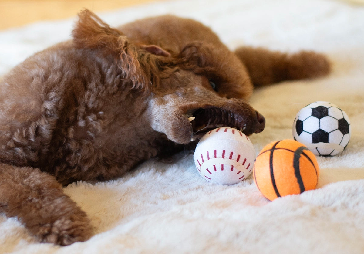 ThoozyPet 24PC PDQ - Tennis Ball Assorted (Baseball / Basketball / Soccer) Fetch Dog Toy 2.5"
