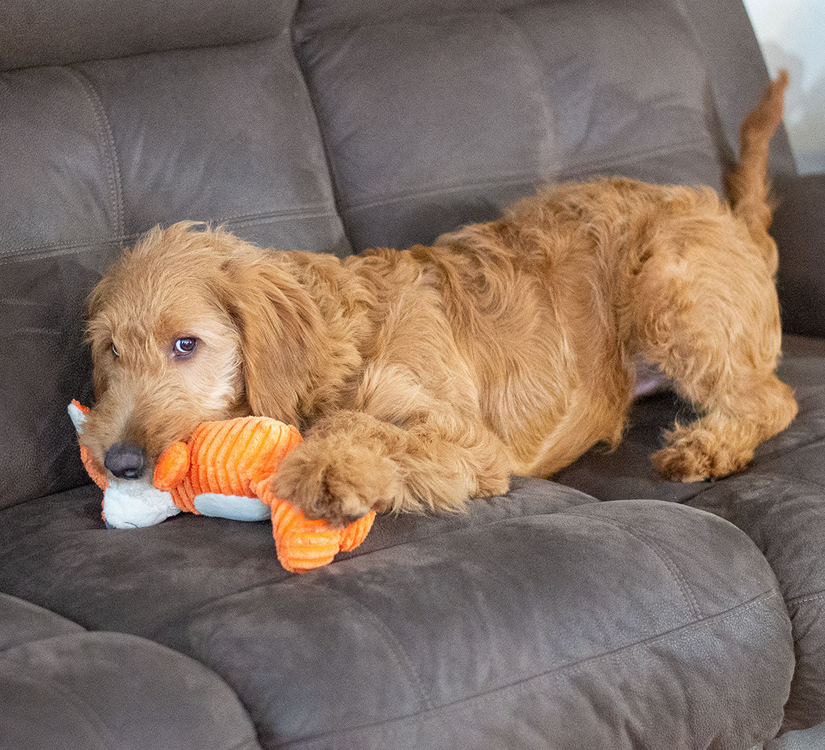 ThoozyPet Tuff & Cuddly Fox Plush Dog Toy 12.5"