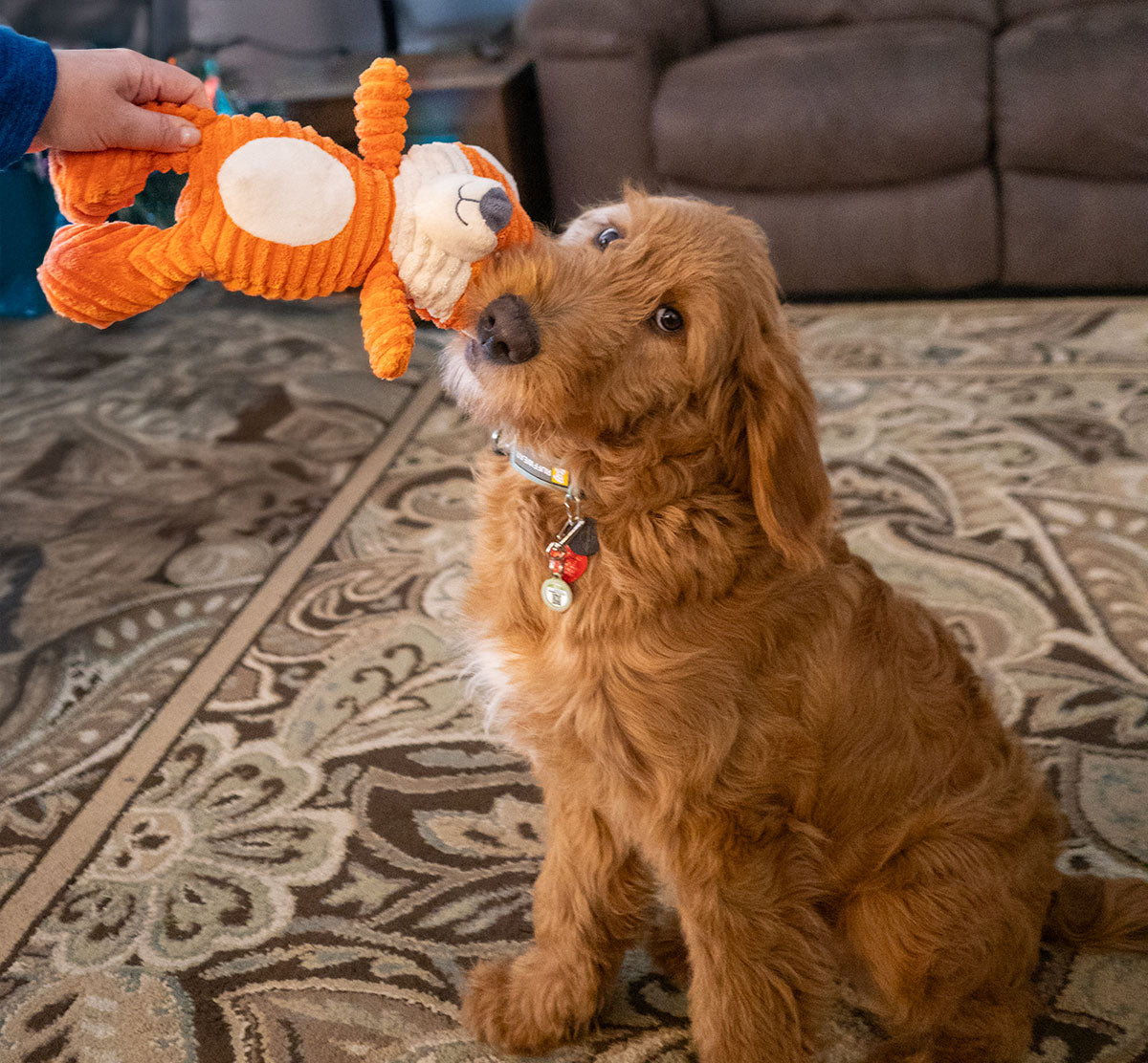 ThoozyPet Tuff & Cuddly Fox Plush Dog Toy 12.5"