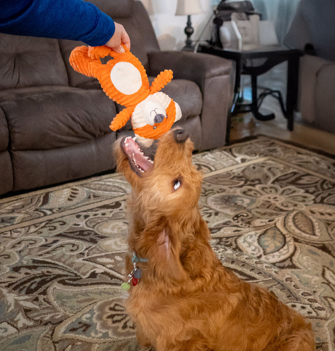 ThoozyPet Tuff & Cuddly Fox Plush Dog Toy 12.5"