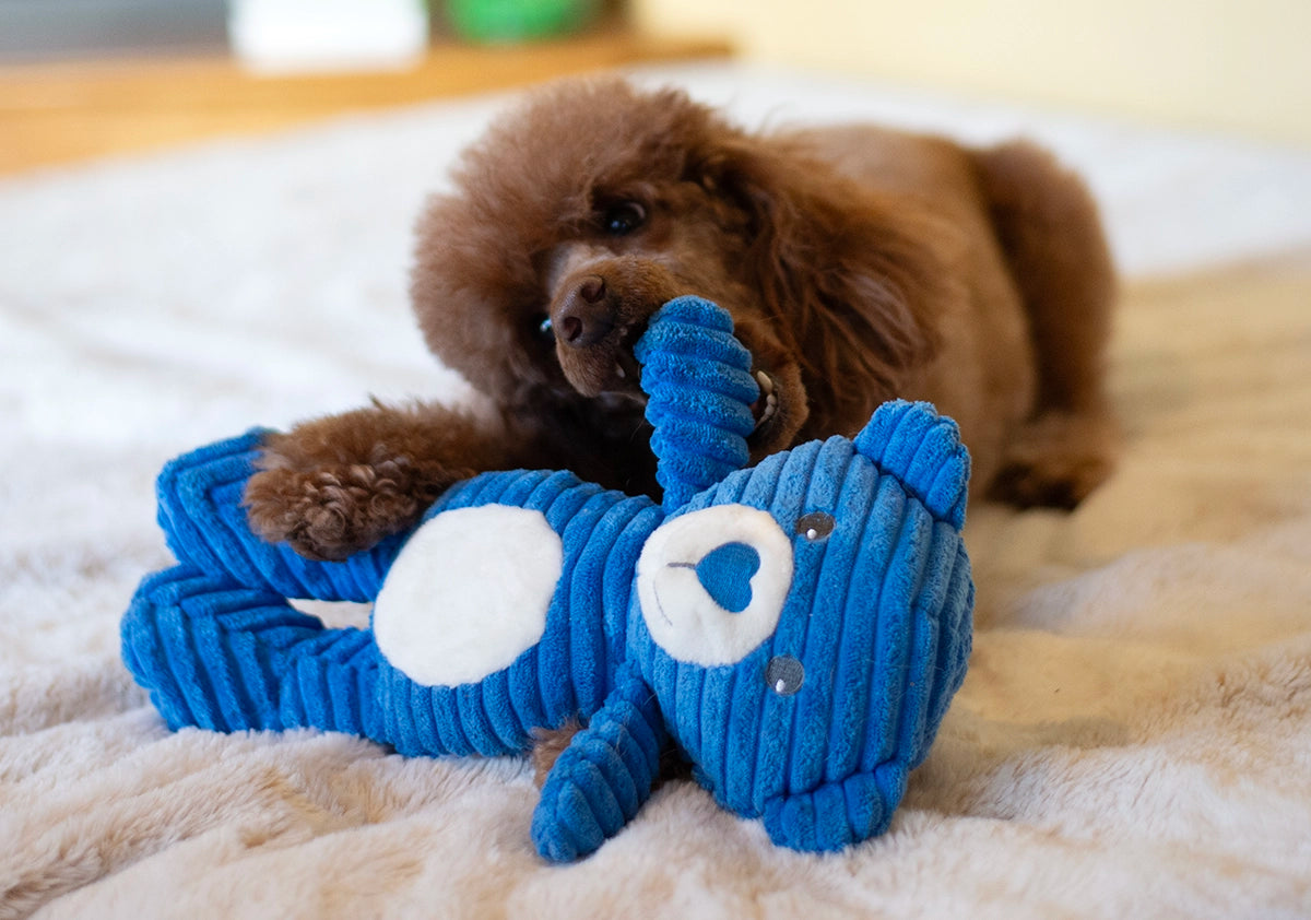 ThoozyPet Tuff & Cuddly Bear Plush Dog Toy 12.5"