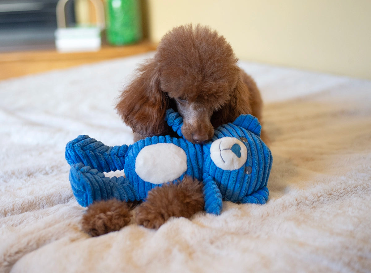 ThoozyPet Tuff & Cuddly Bear Plush Dog Toy 12.5"