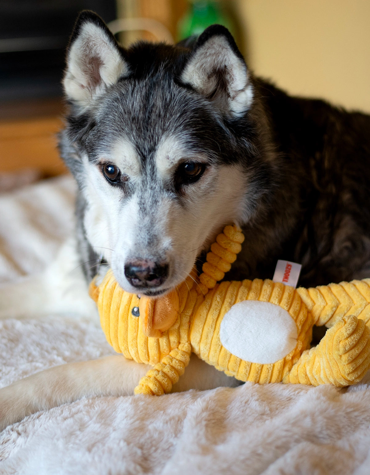 ThoozyPet Tuff & Cuddly Duck Plush Dog Toy 12.5"
