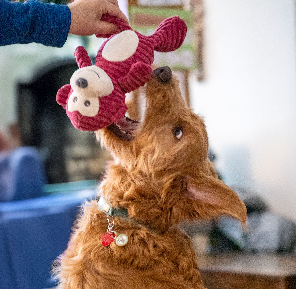 ThoozyPet Tuff & Cuddly Monkey Plush Dog Toy 12.5"