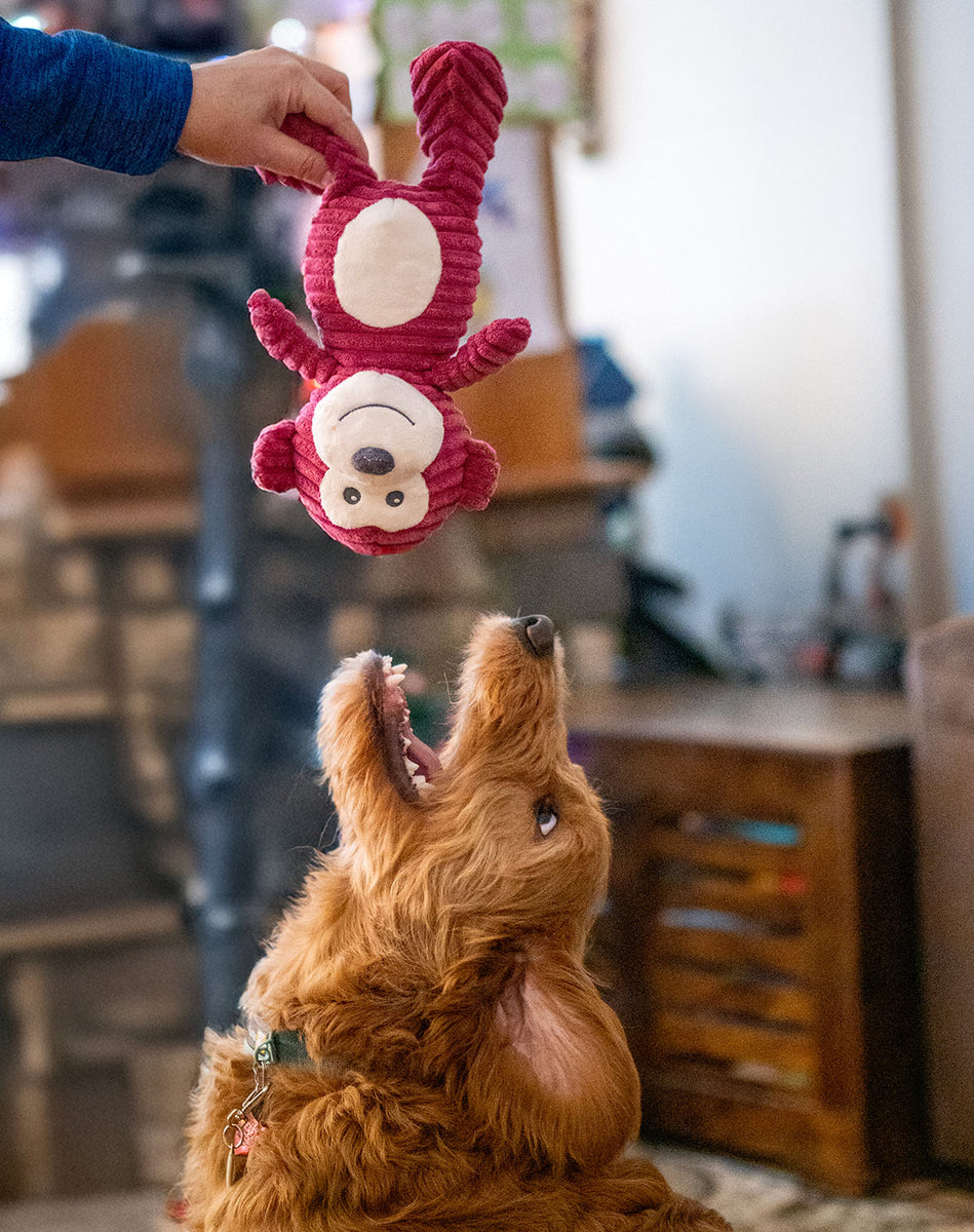 ThoozyPet Tuff & Cuddly Monkey Plush Dog Toy 12.5"