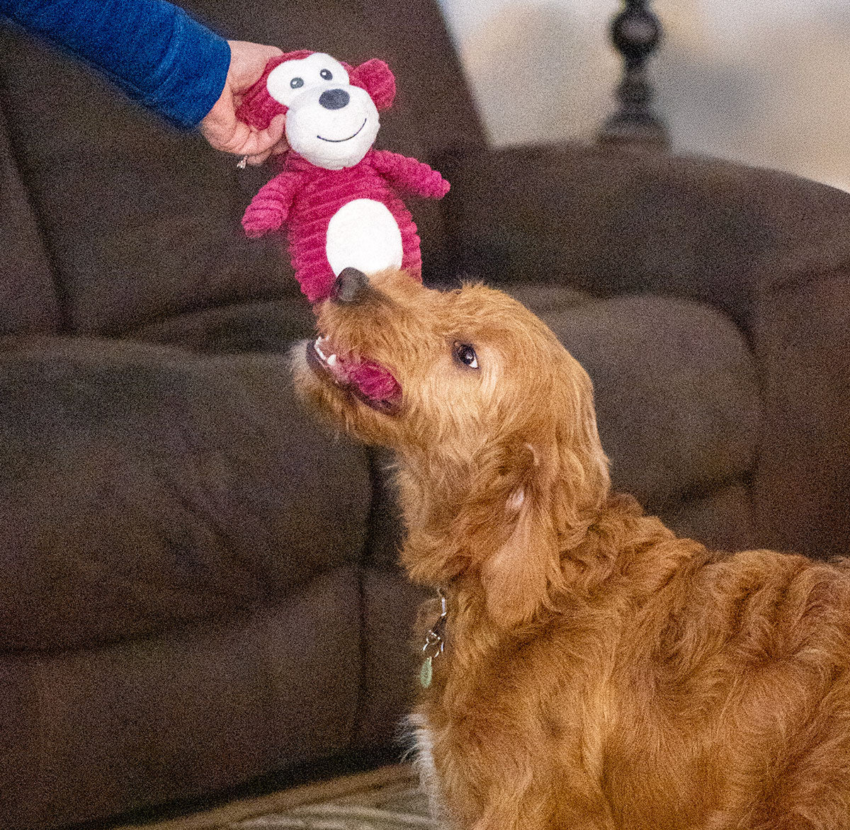 ThoozyPet Tuff & Cuddly Monkey Plush Dog Toy 12.5"