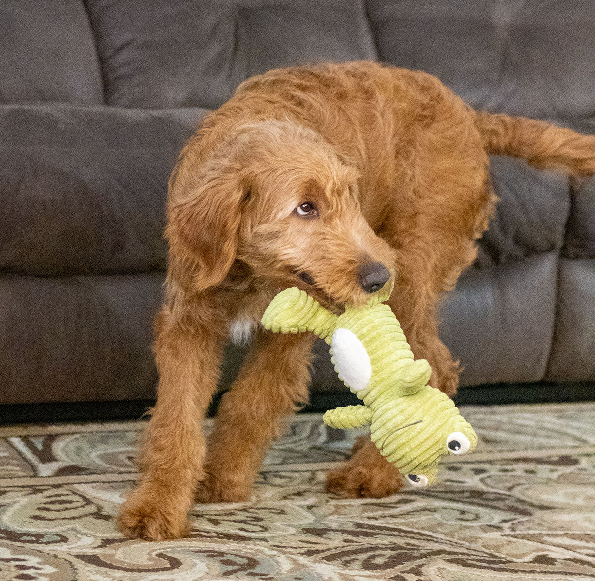ThoozyPet Tuff & Cuddly Frog Plush Dog Toy 12.5"