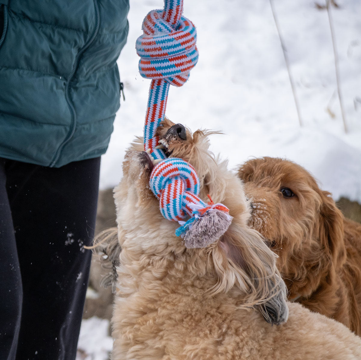 ThoozyPet 3-Knot Rope Dog Toy Blue / Red 25"