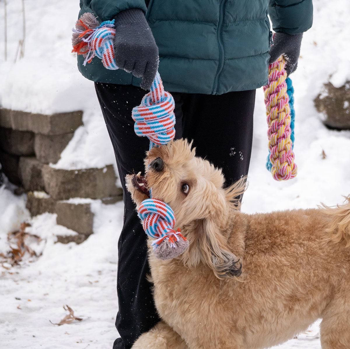 ThoozyPet 3-Knot Rope Dog Toy Blue / Red 25"