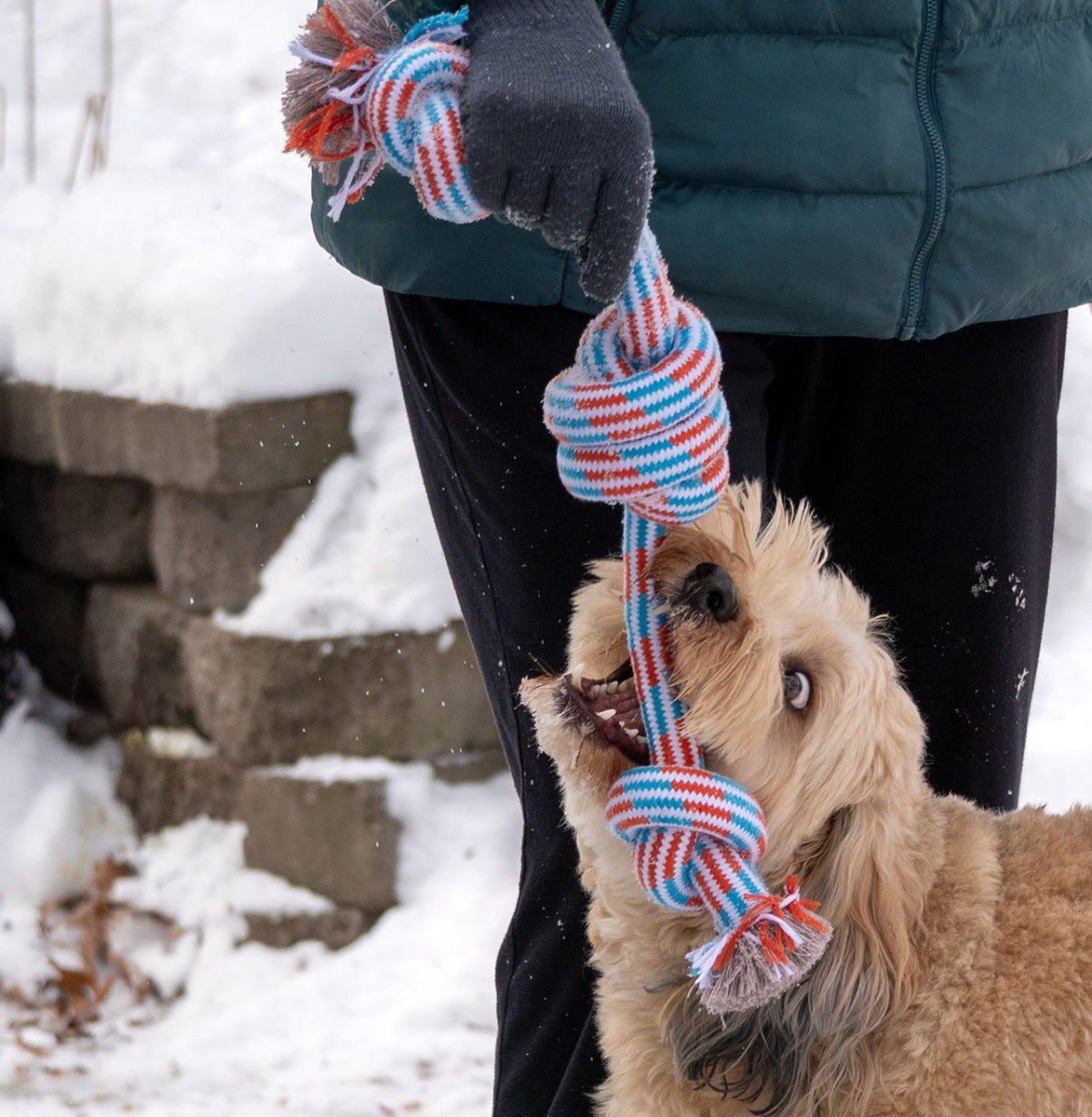 ThoozyPet 3-Knot Rope Dog Toy Blue / Red 25"