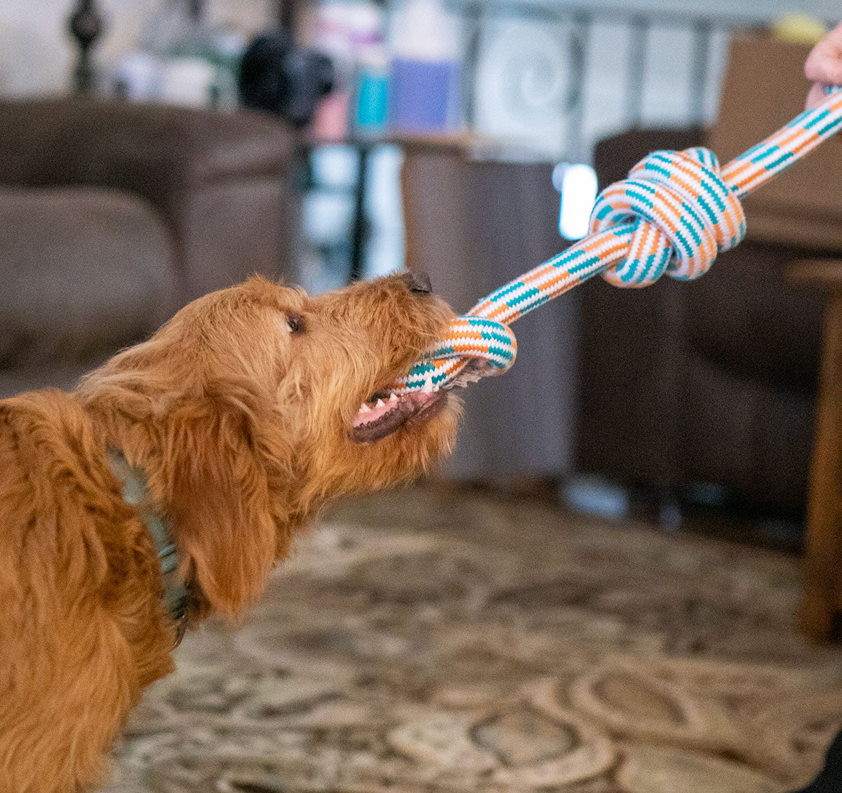 ThoozyPet 3-Knot Rope Dog Toy Yellow / Pink 25"