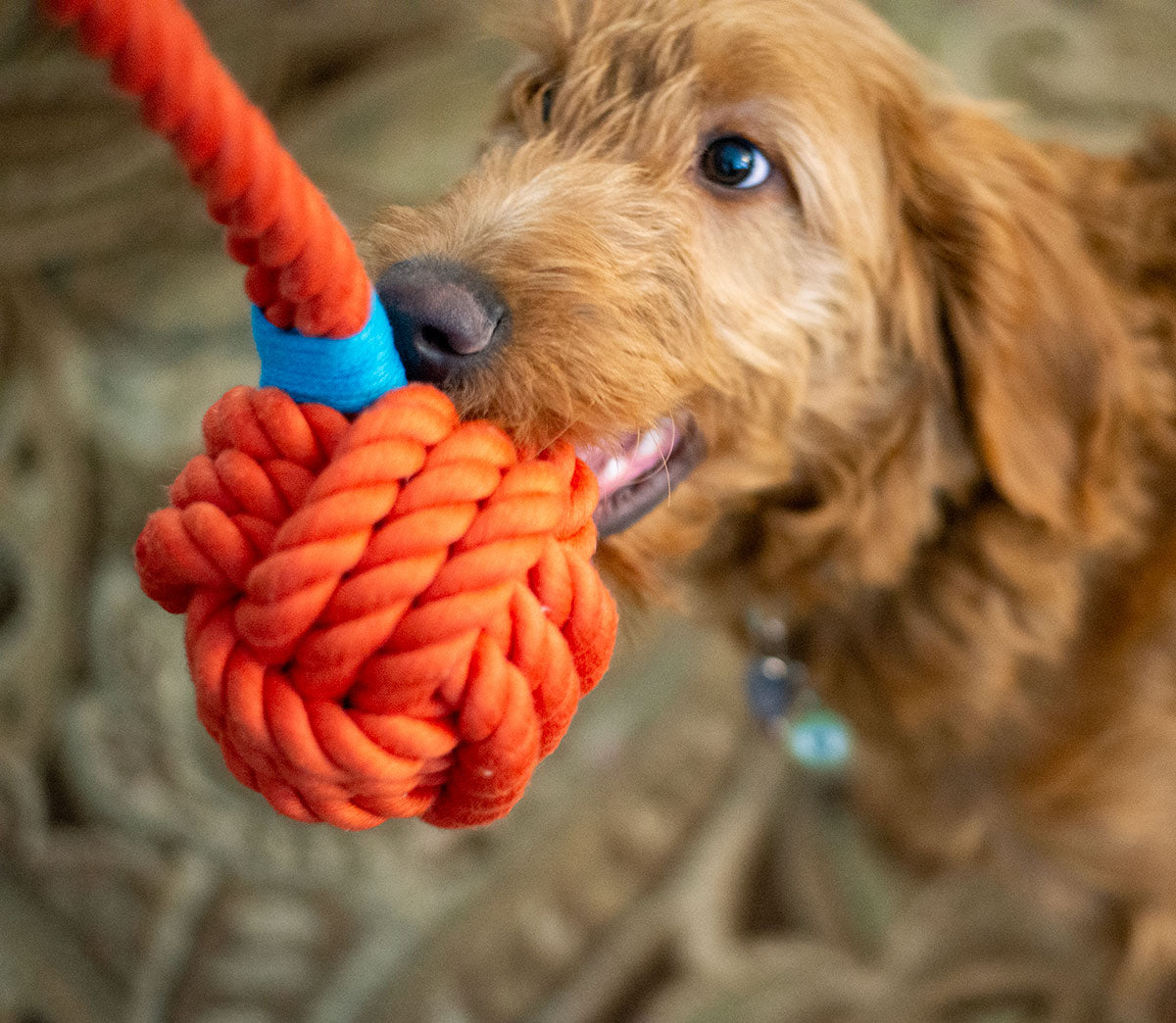 ThoozyPet Ball Tug Rope Dog Toy with Handle Orange 5"